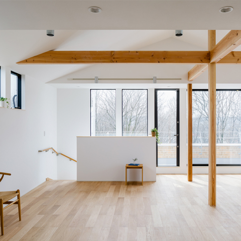 Photograph : Ippei Shinzawa