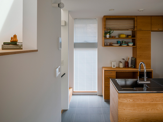 Photograph : Ippei Shinzawa